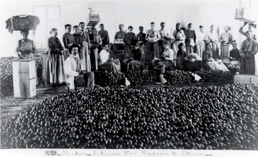 Fotografia d'epoca di lavoratori in posa dietro un grande mucchio di limoni in un magazzino